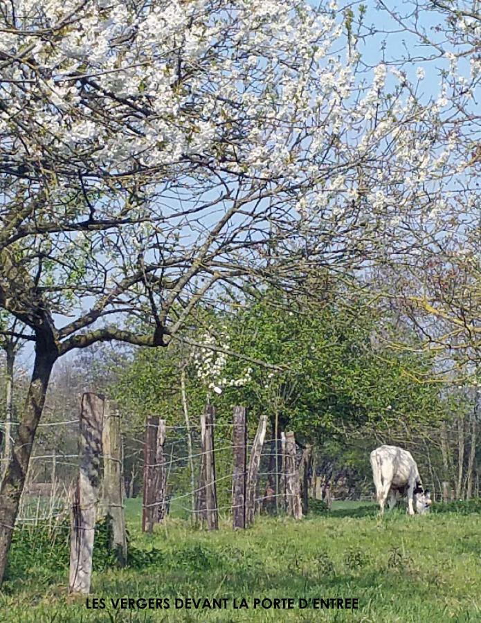La Cense Pierrot Des Princes Saint-Amand-les-Eaux Luaran gambar